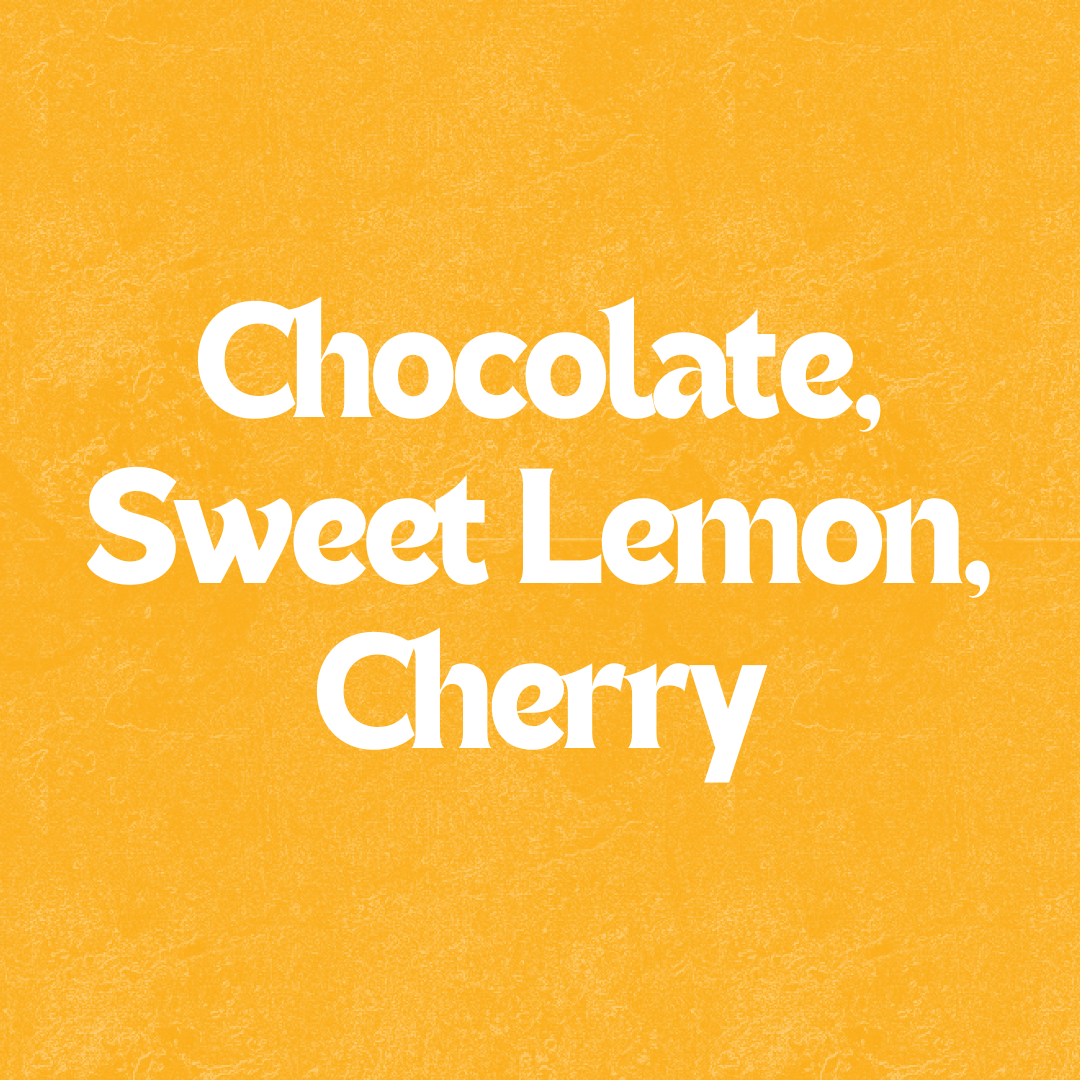 Belltown Blend Single - Image 2