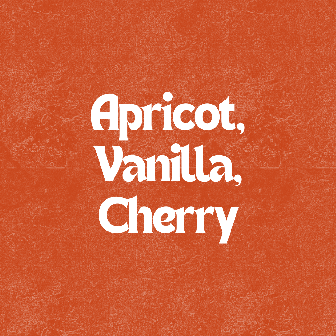 Horizon Blend - Image 2