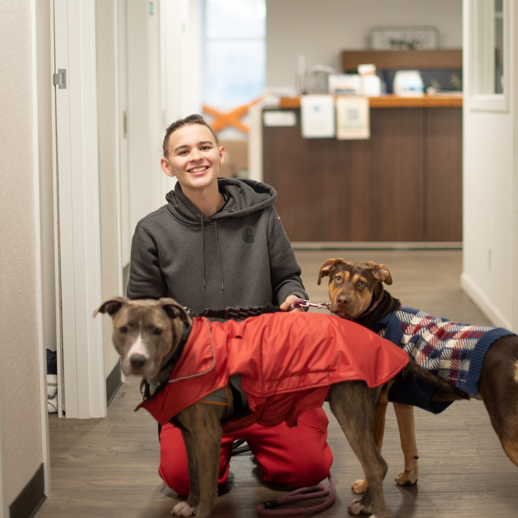 New Horizons _ 2023-88 (1)